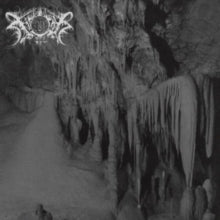 Xasthur - Xasthur (2LP) | Mint (M) Mint (M)-The Happy Cap
